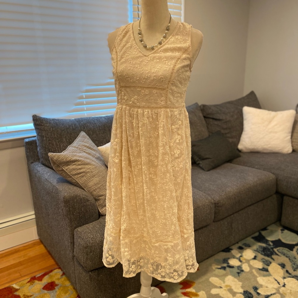 Pinkblush maternity dress